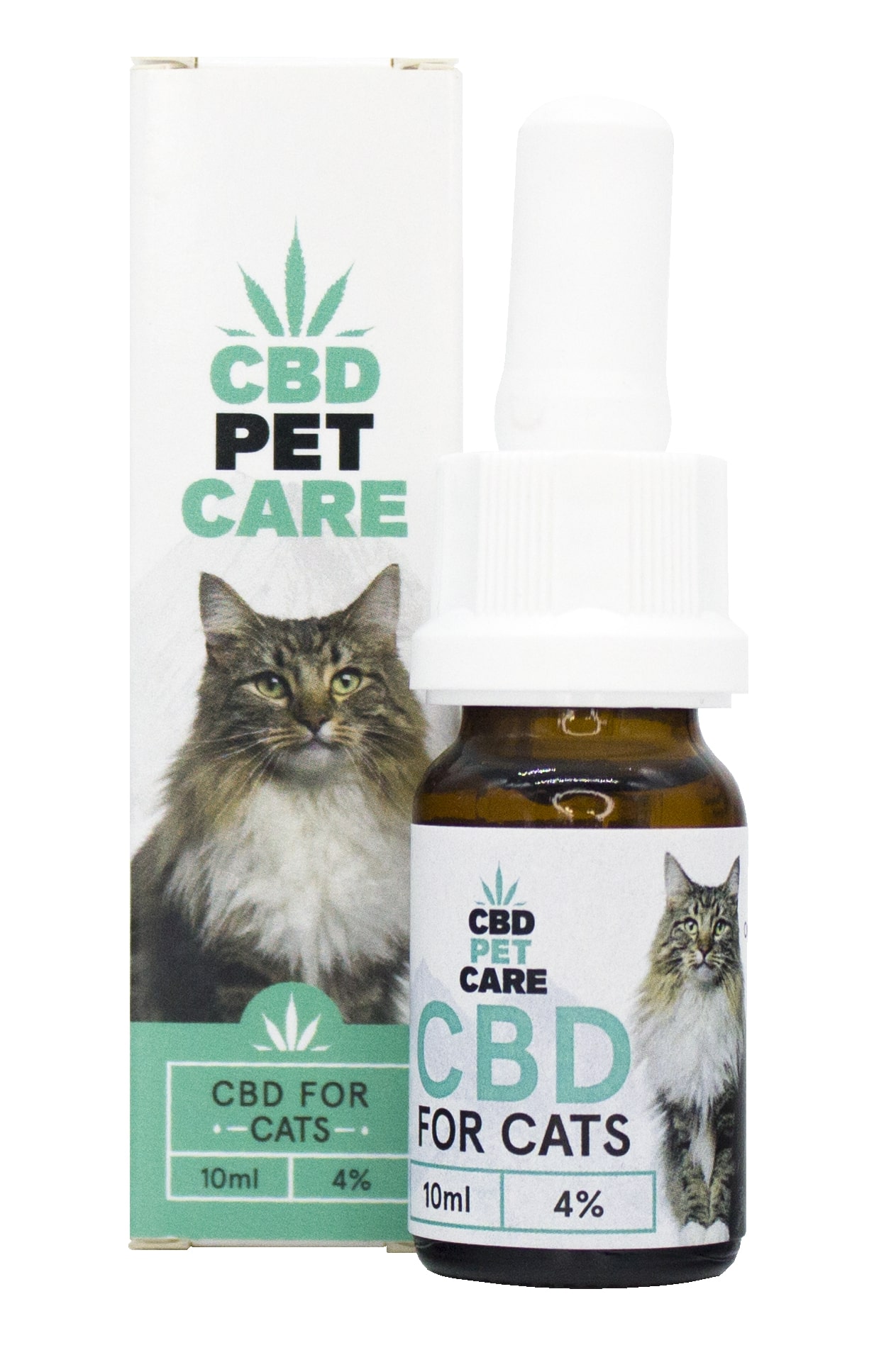 CBD Oil: A New Way to Make Your Cat Feel Better